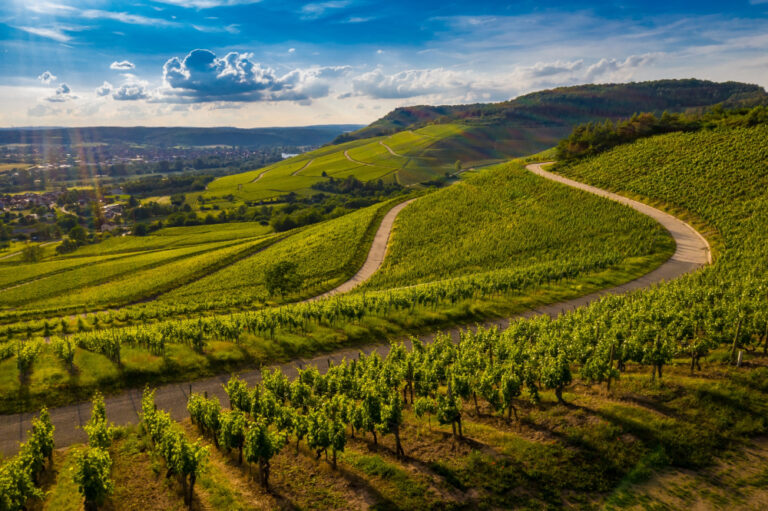 Umbria il polmone verde d'Italia